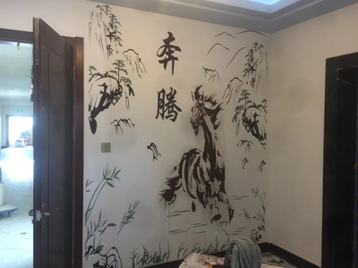 專業(yè)硅藻泥施工